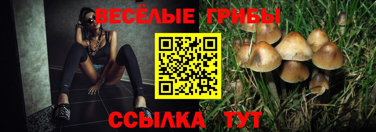 Боровичи  Галлюциногенные грибы GOLDEN TEACHER  Вход с VPN 